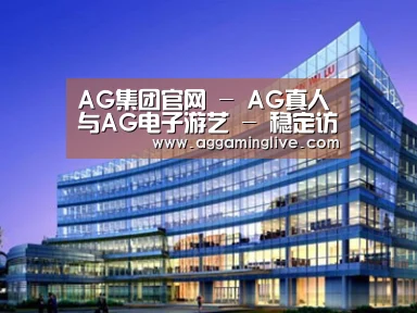展示五
