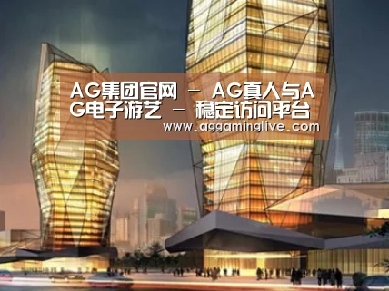 展示三