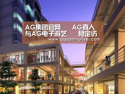 展示一(图1)