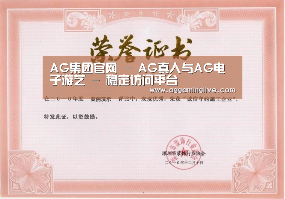 荣誉证书二(图1)