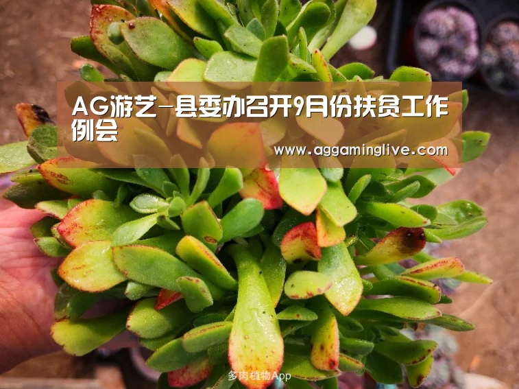 AG游艺-县委办召开9月份扶贫工作例会