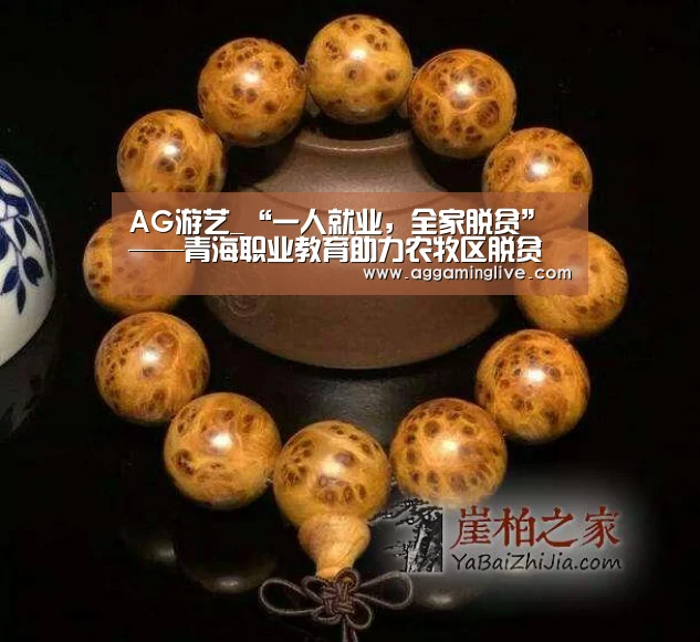 AG游艺_“一人就业，全家脱贫”——青海职业教育助力农牧区脱