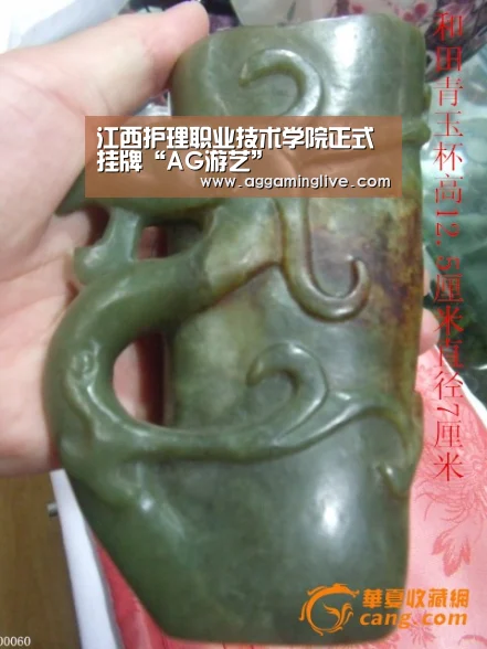 江西护理职业技术学院正式挂牌“AG游艺”(图4) AG稳定
