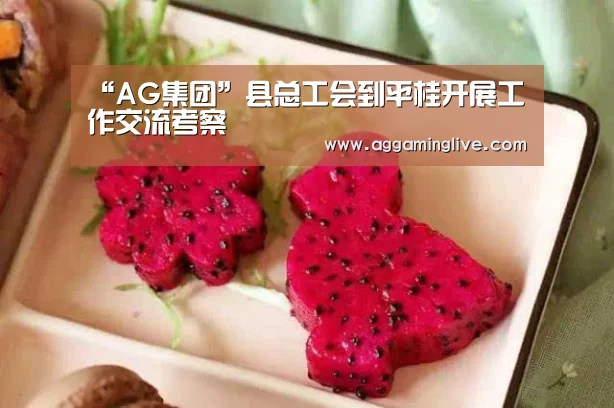 “AG集团”县总工会到平桂开展工作交流考察(图2) AG稳定