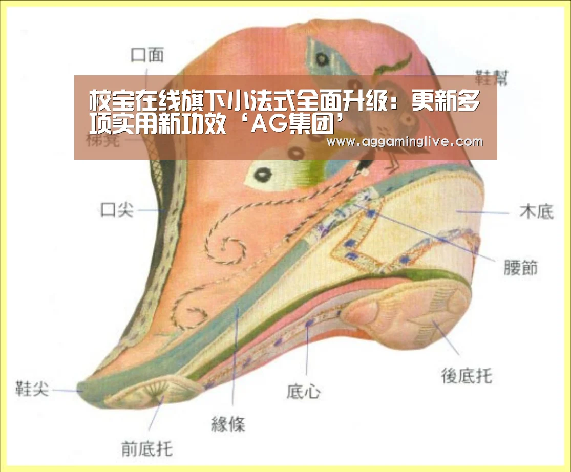 校宝在线旗下小法式全面升级:更新多项实用新功效‘AG集团’(图2) AG游艺