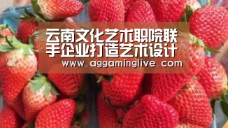 AG集团