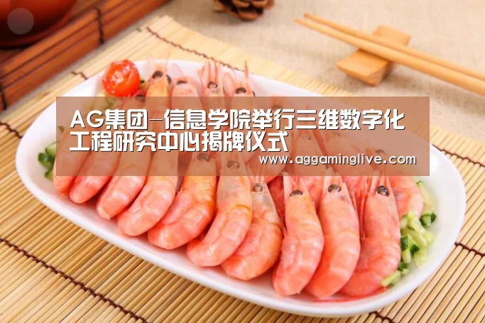 AG集团-信息学院举行三维数字化工程研究中心揭牌仪式(图3) AG稳定