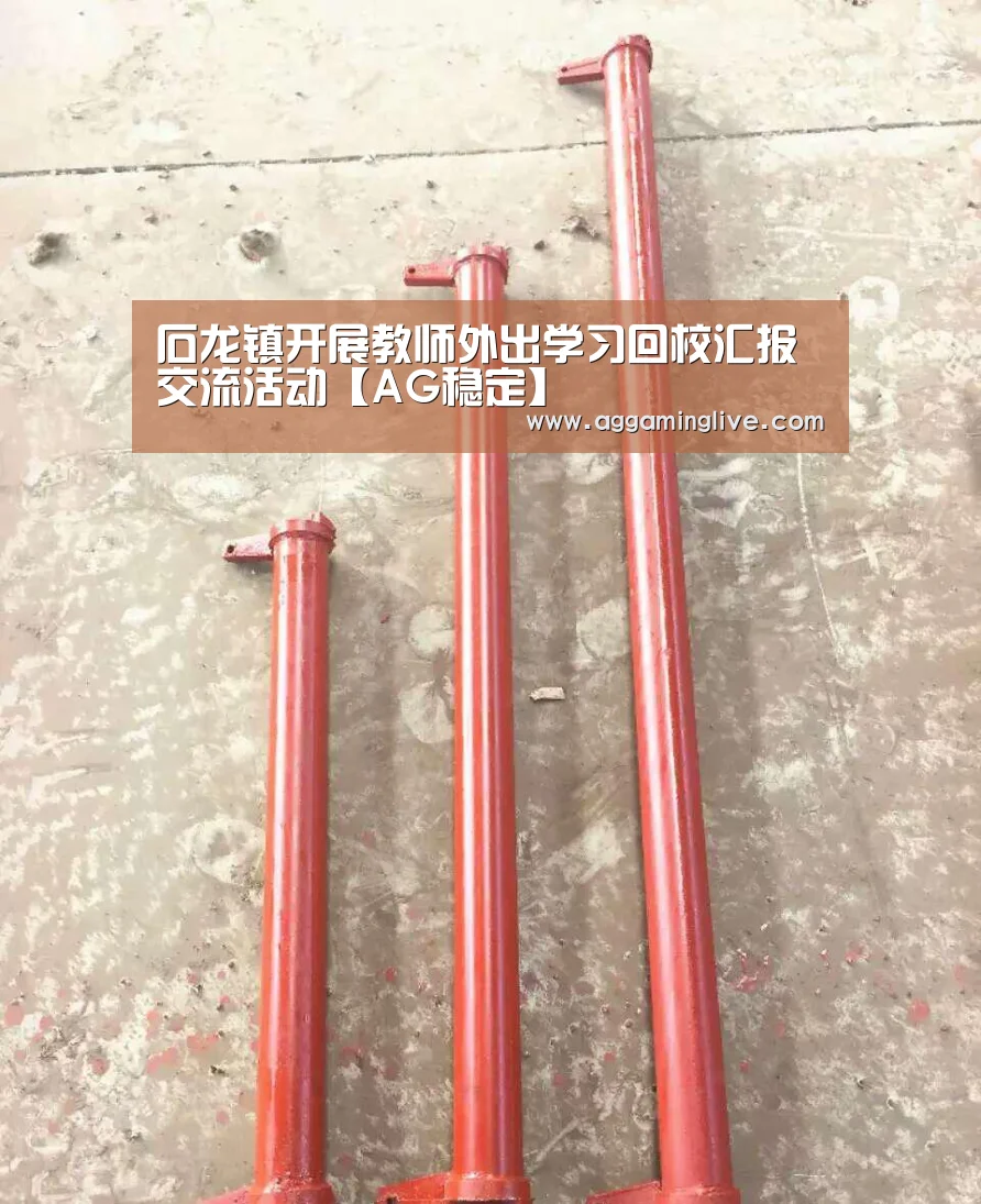 石龙镇开展教师外出学习回校汇报交流活动【AG稳定】(图1) AG集团