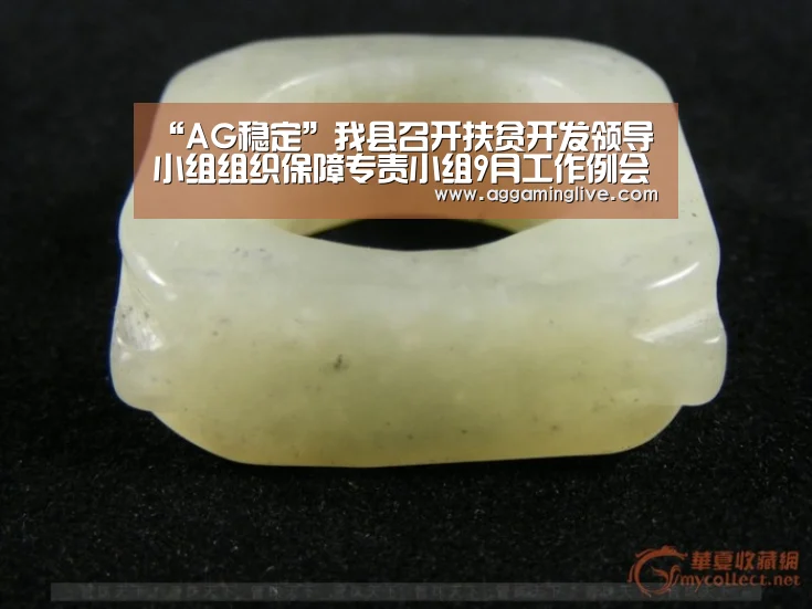 “AG稳定”我县召开扶贫开发领导小组组织保障专责小组9月工作例会(图2) AG集团
