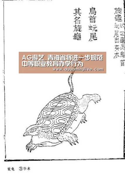 AG游艺_青海省将进一步规范中等职业教育办学行为(图1) AG游艺