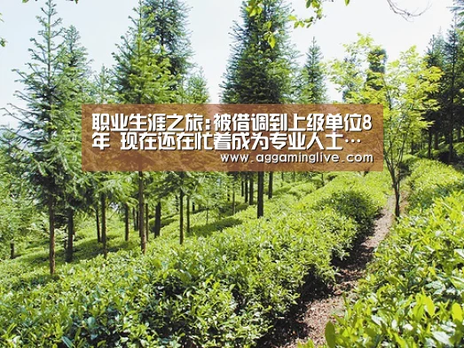 职业生涯之旅:被借调到上级单位8年 现在还在忙着成为专业人士…-AG真人(图2) AG游艺