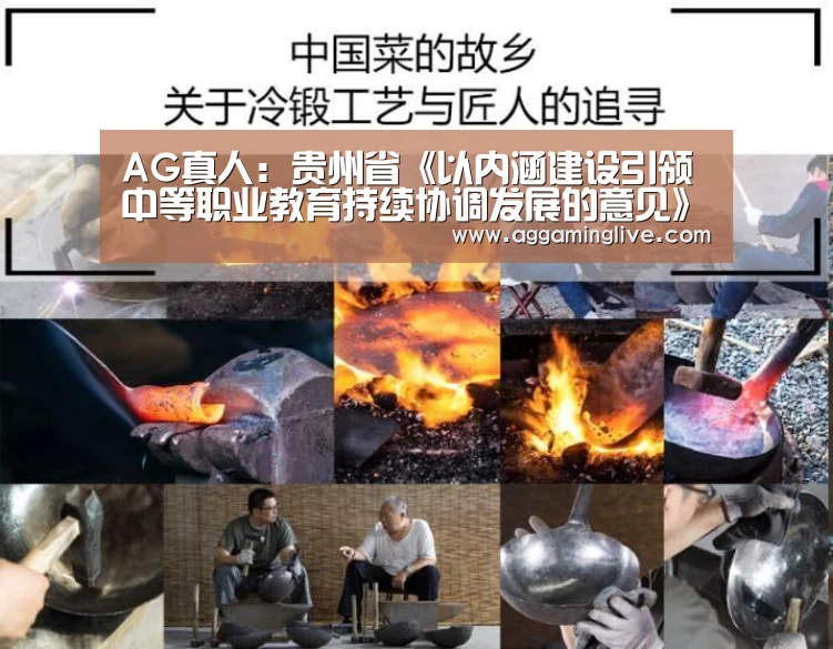 AG真人:贵州省《以内涵建设引领中等职业教育持续协调发展的意见》解读(图2) AG集团