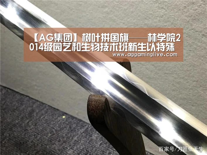 AG游艺